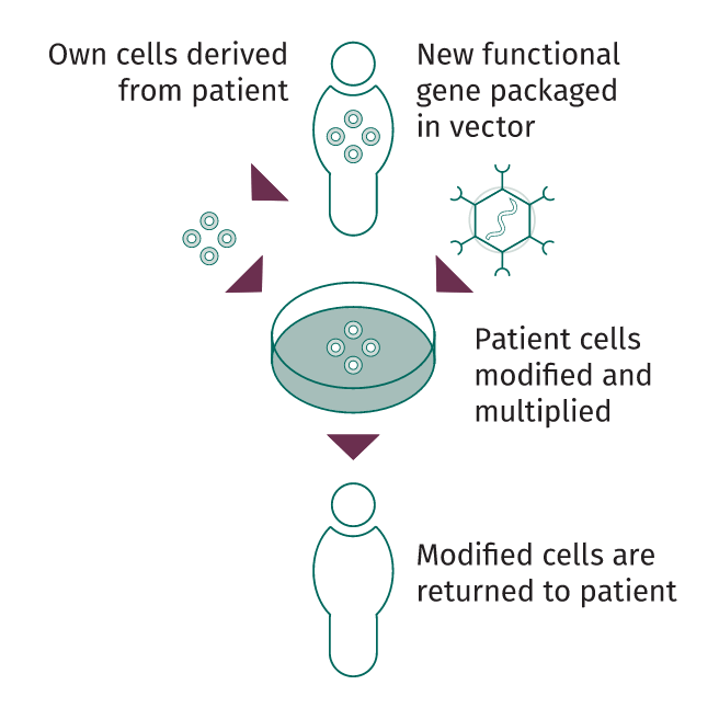 Illustrations showing the process of cell therapy.