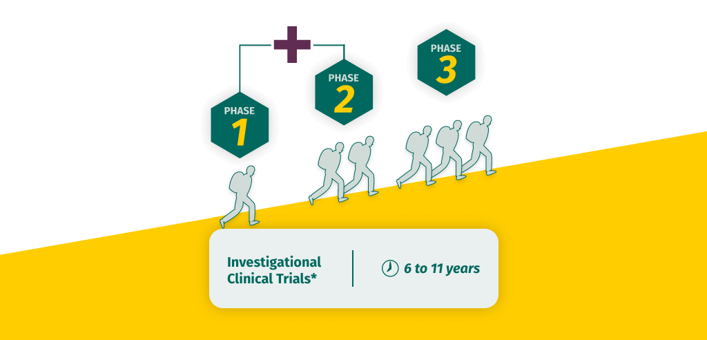 Chart showing the phases of investigational clinical trials.