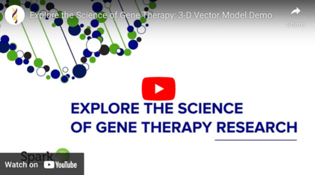 Play video: Explore the science of gene therapy.