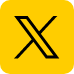 x-icon